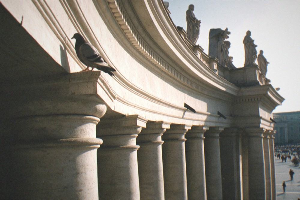 Columns and statues along the edge of St Peter's Square in late afternoon light