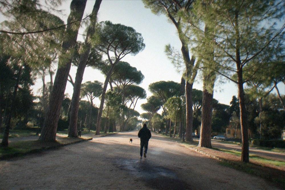 Morning light through stone pines on a wide Villa Borghese avenue